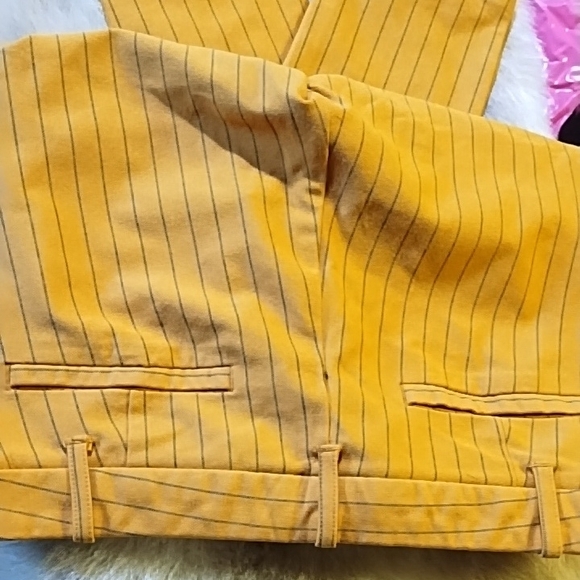 Zara Mustard Pinstripe Pants - Picture 6 of 6